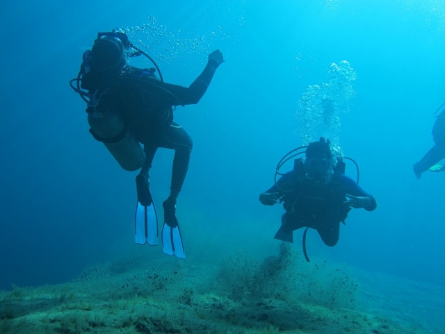  diving courses 